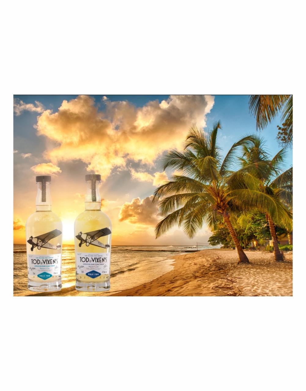 TOD & VIXEN'S THE FLYING FOX SERIES JAMAICAN RUM CASK FINISH MATURE GIN