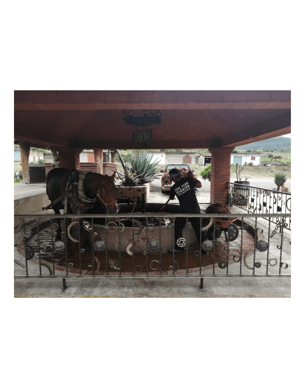 MAL DE AMOR MADRE CUISHE MEZCAL
